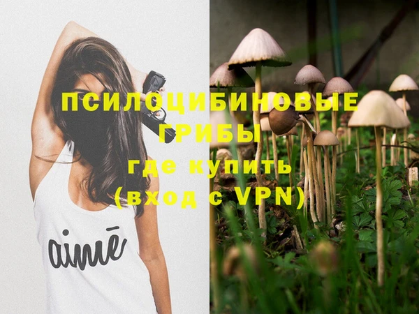 мяу мяу мука Переславль-Залесский