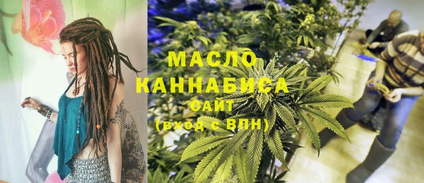 дмт Пестово