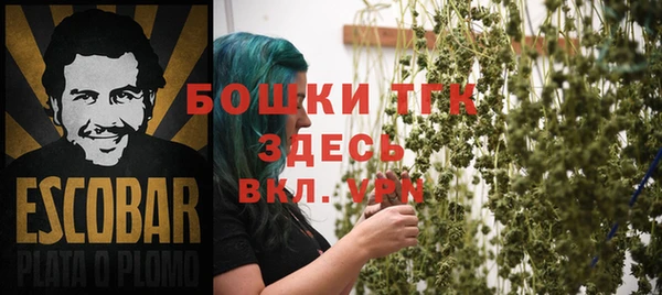 гидра Покачи