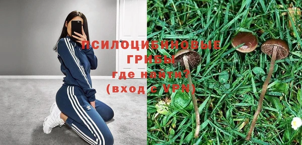 кристаллы Покровск