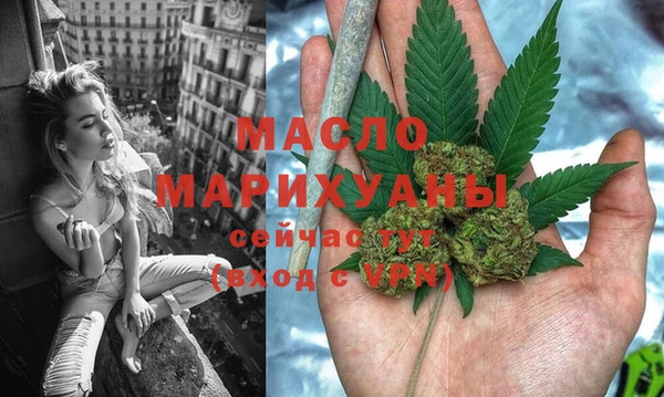 дмт Пестово