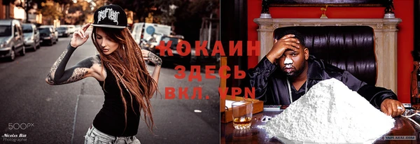 гидра Покачи