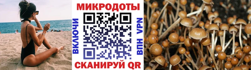 купить   MEGA как войти  Псилоцибиновые грибы мухоморы  Тюкалинск 
